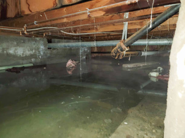 Best Ceiling water damage repair  in Ashland, WI