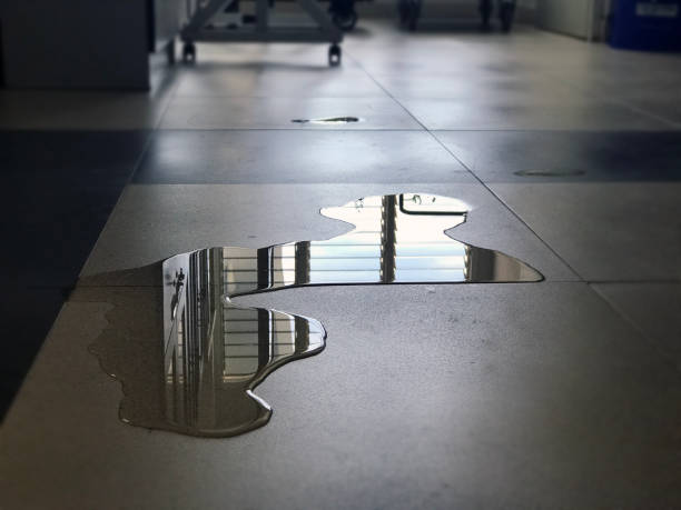 Best 24/7 water damage repair  in Ashland, WI