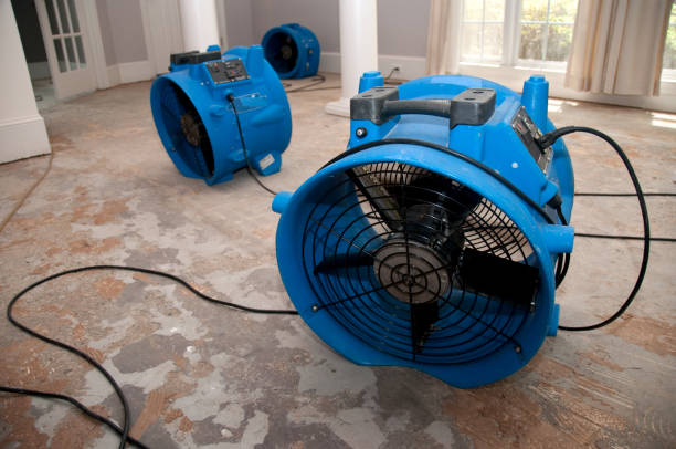 Trusted WI Water damage restoration Experts