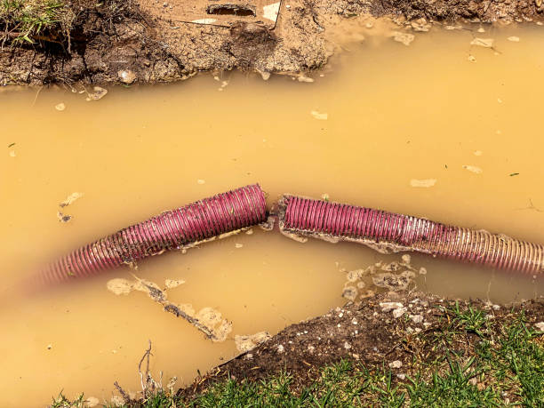 Best Water damage restoration near me  in Ashland, WI