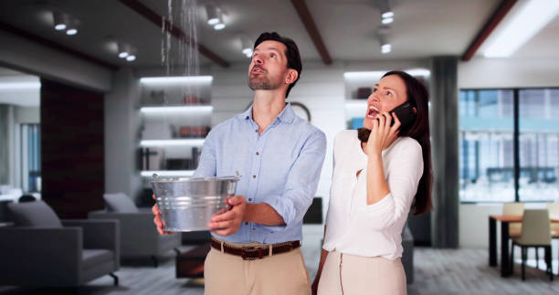 Best Water damage restoration insurance claims  in Ashland, WI